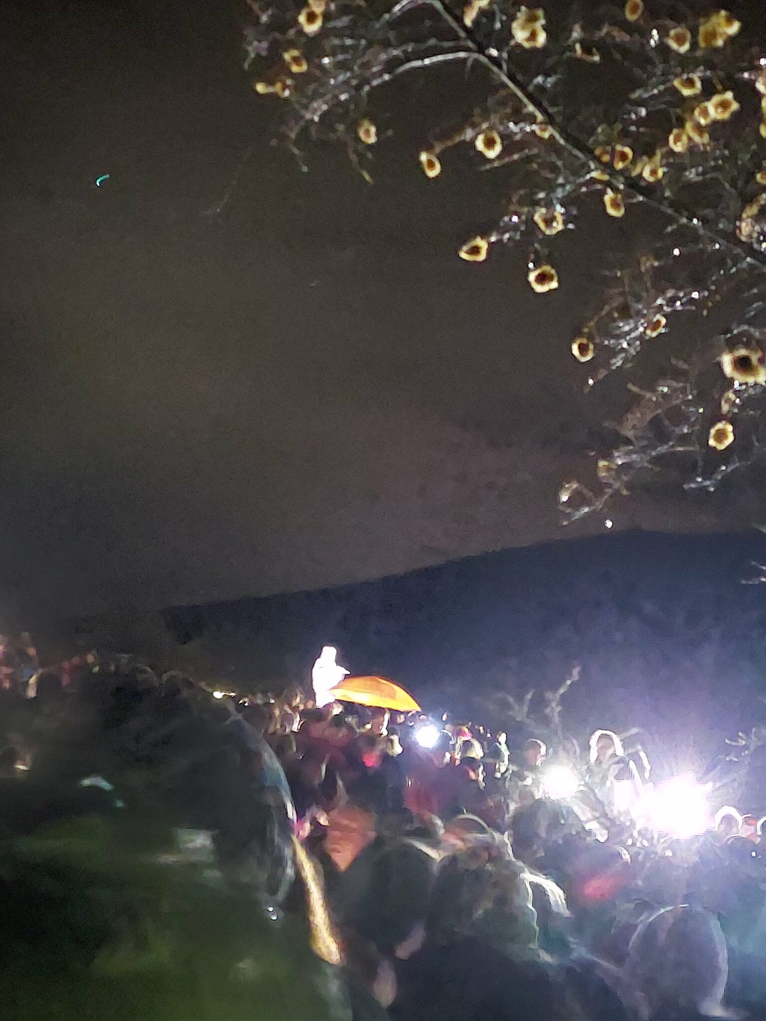 Gospina poruka preko Marije Pavlović-Lunetti, 1.1.2024.